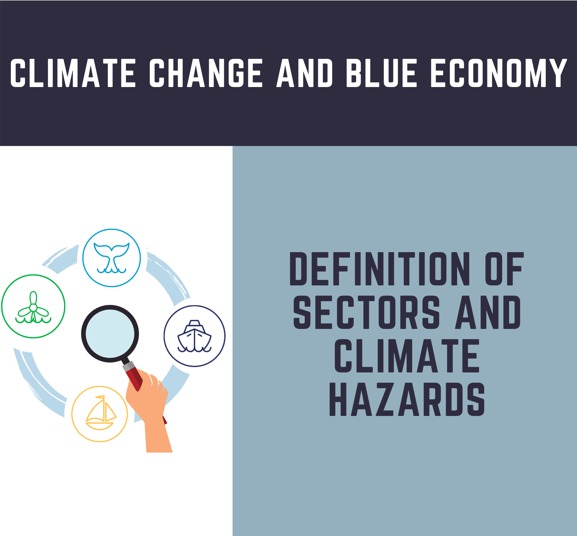 Definition of sectors and climate hazards